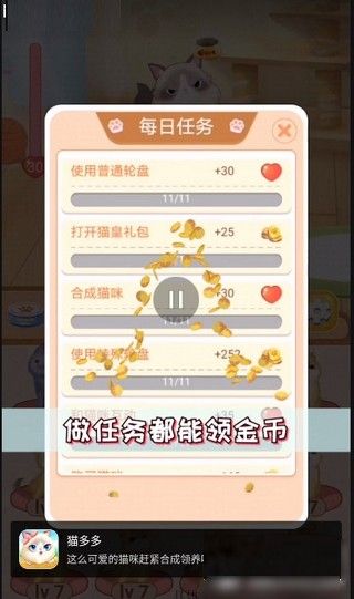 貓多多