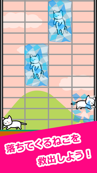 貓貓生活(Life with Cats)