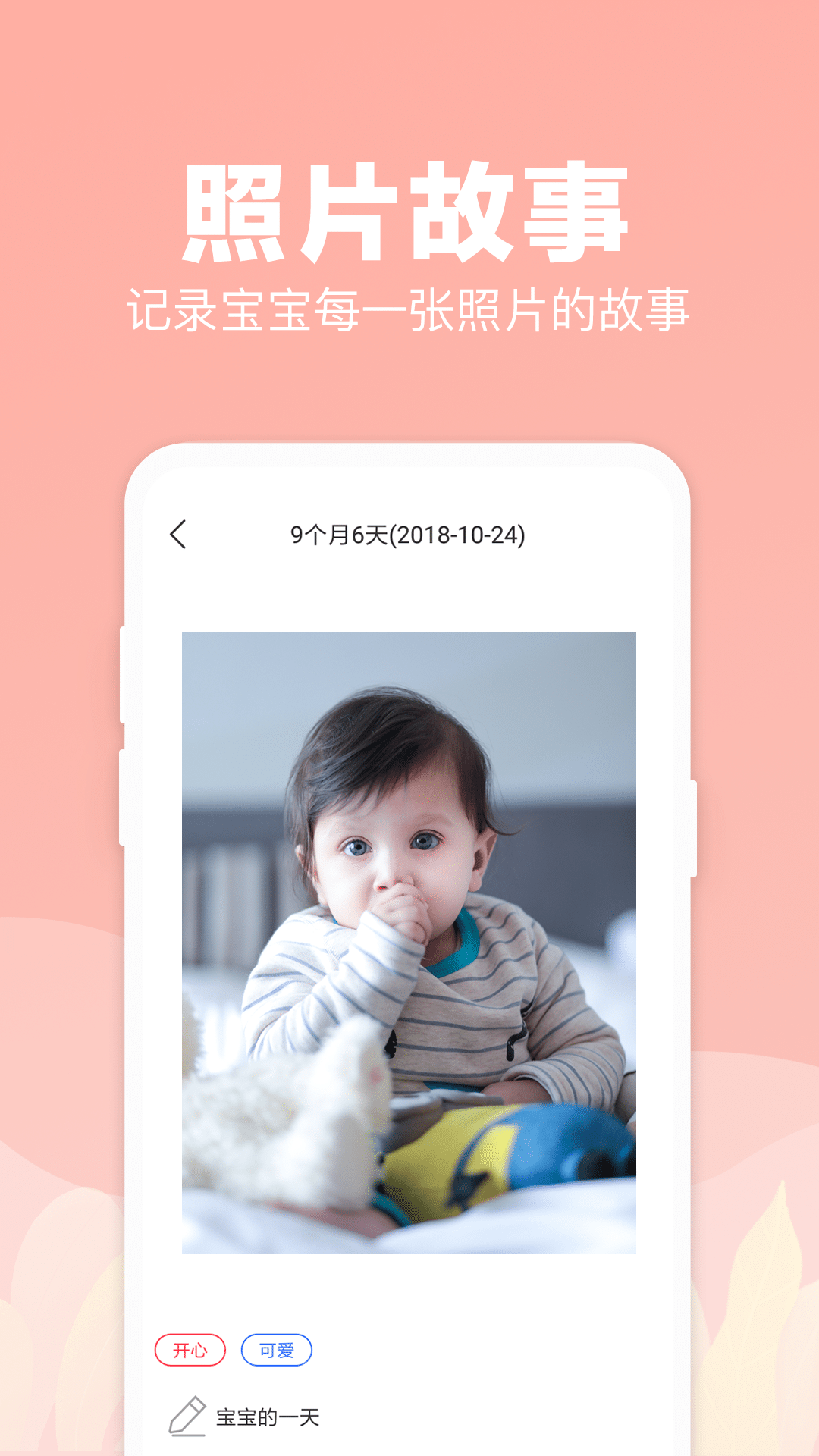 呆萌寶寶