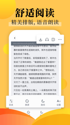 飯團(tuán)探書純凈版