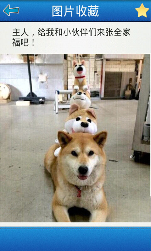 笑得肚子疼