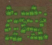 環世界改變水稻和海草紋理v1.0MOD