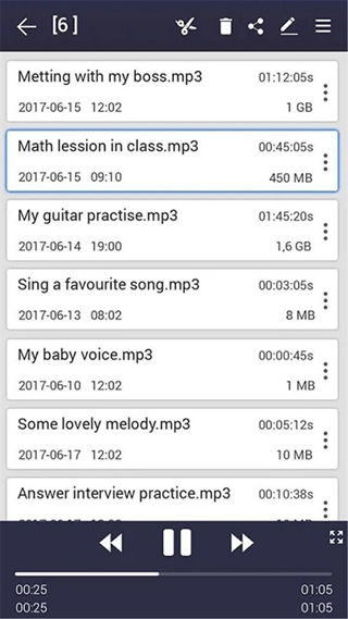 手機(jī)錄音機(jī)pro