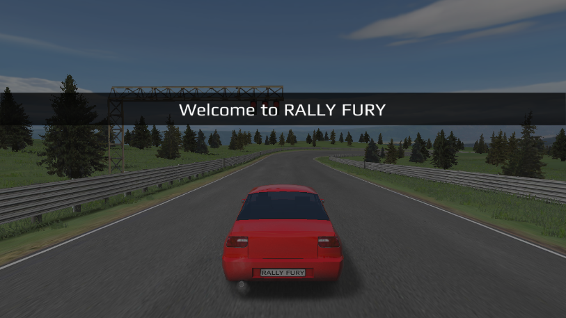 Rally Fury