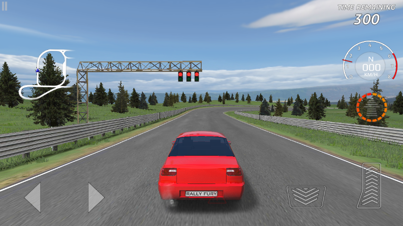 Rally Fury