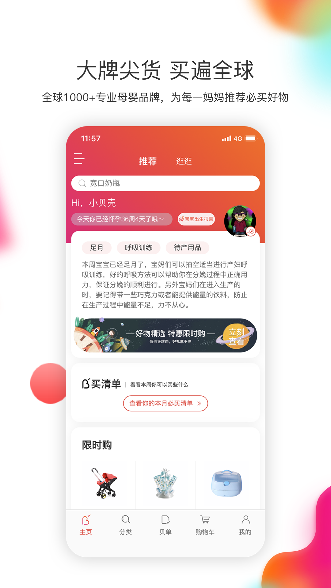 貝單