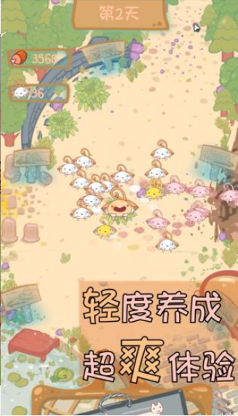 貓咪生存日記