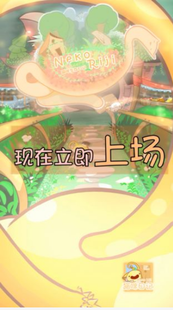 貓咪生存日記