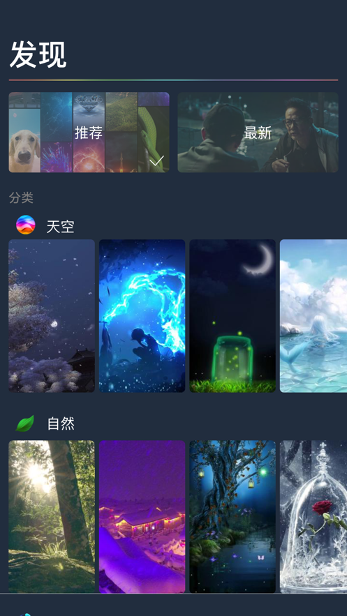 咸鱼动态壁纸iphone版