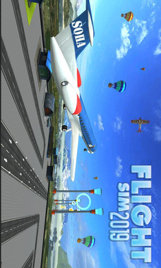 2019飛行模擬(Flight Sim 2019)