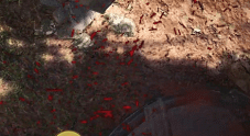 怪物獵人世界血特效MOD