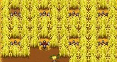 星露谷物語四季小麥MOD