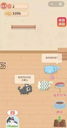 奇妙貓之家