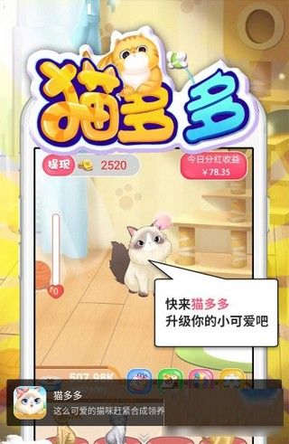 貓多多