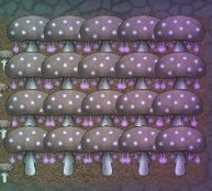 環(huán)世界可食用蘑菇v1.1MOD