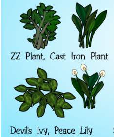 環(huán)世界室內(nèi)植物v1.2MOD