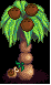 星露谷物語可種植椰子樹MOD