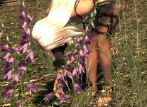上古卷軸5天際女性拾取動作MOD