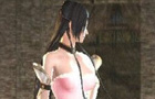 《真三國無雙6 with 猛將傳》貂蟬低胸黑絲MOD