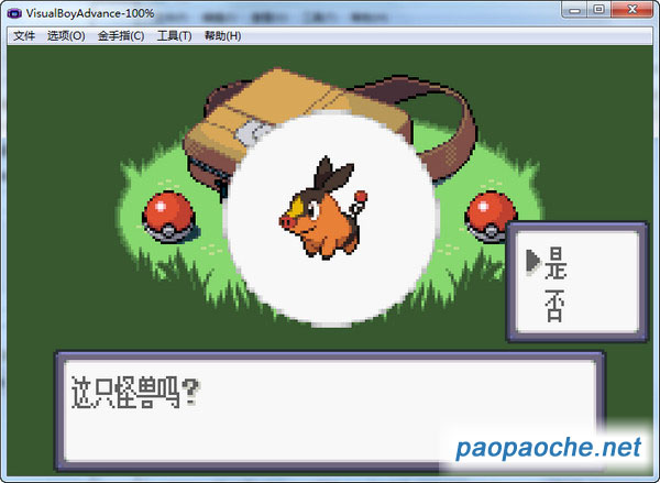 口袋妖怪幻影之翼5.0