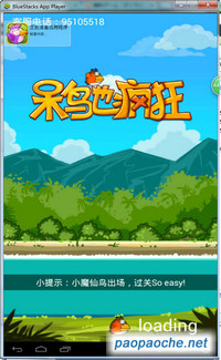 呆鸟也疯狂.jpg