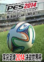 实况足球2014决战世界杯