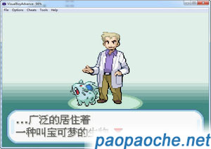 口袋妖怪圣灰.jpg