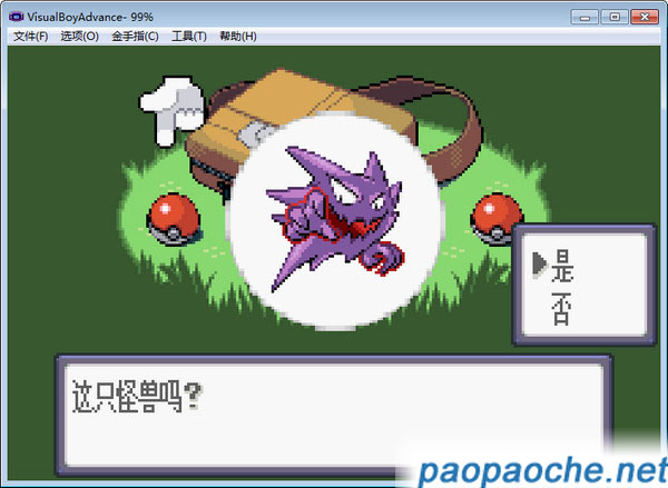 口袋妖怪噩夢的前夕