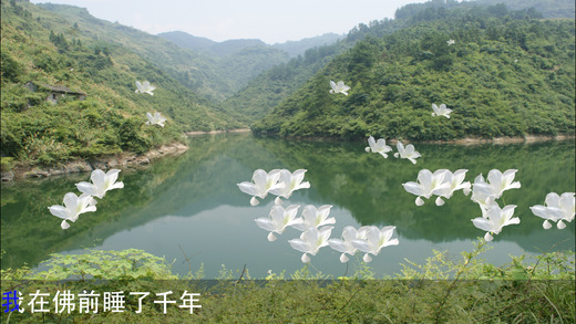 古筝曲100首iphone/ipad版