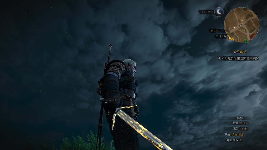 巫師3狂獵v1.31咒術(shù)銘文雙劍武器MOD