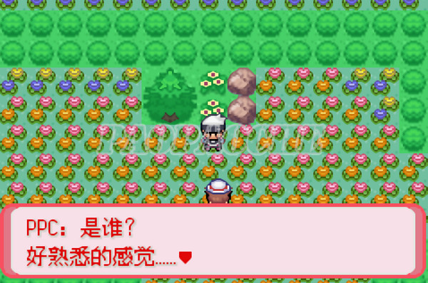 口袋妖怪暗古神壇傳說