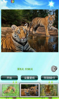 老虎拼图儿童游戏