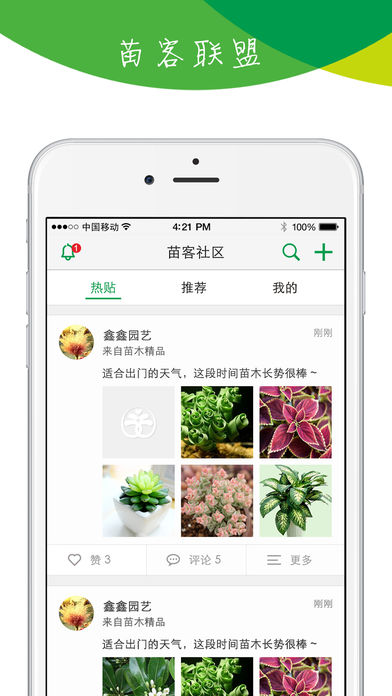 苗木寶iphone版