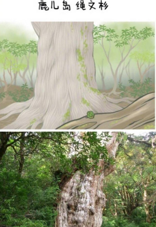 旅行青蛙旅行的地方照片圖鑒和實地原型對照一覽