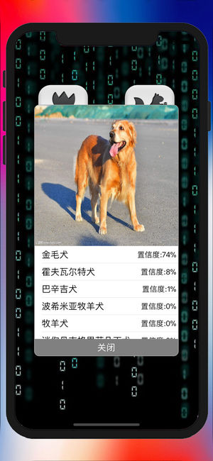 慧眼识图iPhone/iPad版