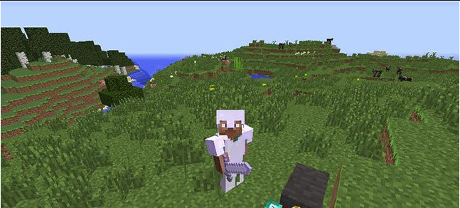我的世界v1.7.2添加銀類MOD