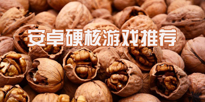 安卓硬核游戏有哪些 值得多次挑战的硬核游戏推荐