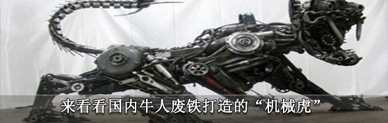 来看看国内牛人废铁打