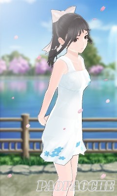 3DS新愛相隨
