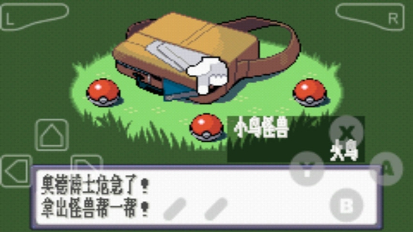 口袋妖怪紅寶石