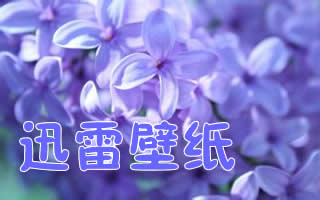 迅雷壁紙1.0.1.32