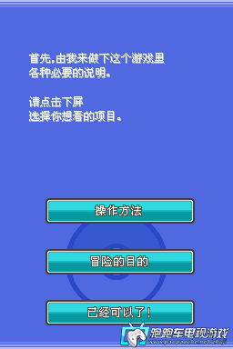 NDS口袋妖怪銀魂