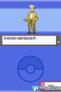 NDS口袋妖怪銀魂