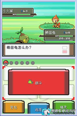 NDS口袋妖怪白金493版