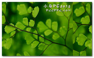 小馬PE2015v2015.01.15