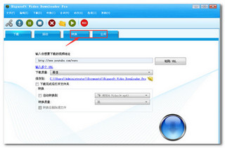 Bigasoft Video Downloaderv3.8.13.5499绿色单文件版