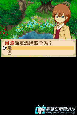 NDS牧场物语:双子村