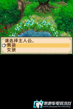 NDS牧场物语:双子村