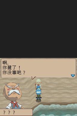 NDS牧场物语:养育你的小岛