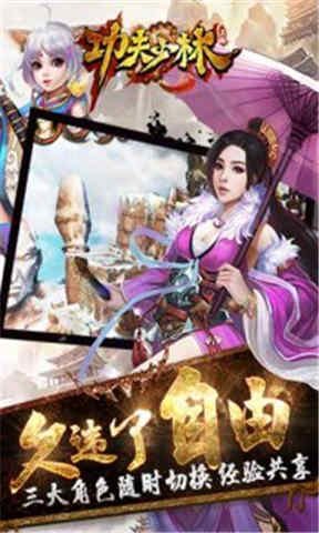 功夫少林多酷版